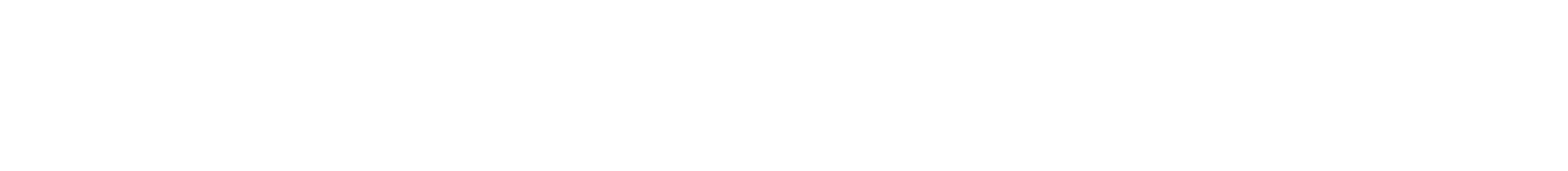 Vita Hominis